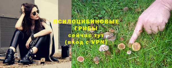 прущий лед Бородино