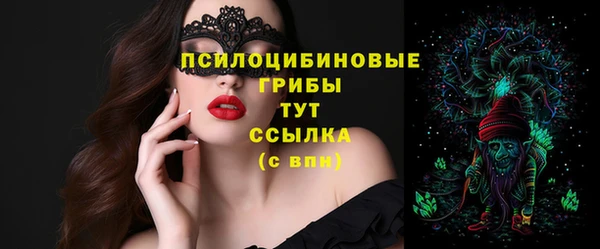прущий лед Бородино