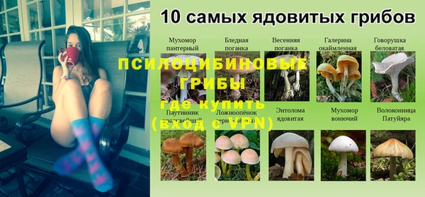 крисы Беломорск
