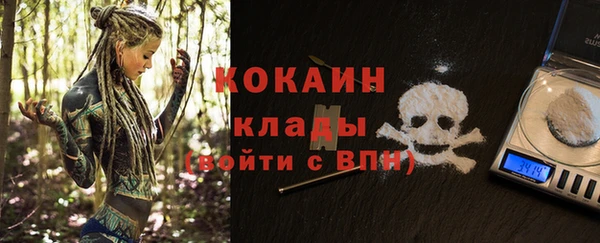 прущий лед Бородино