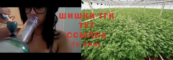 прущий лед Бородино