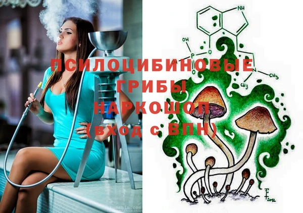 прущий лед Бородино